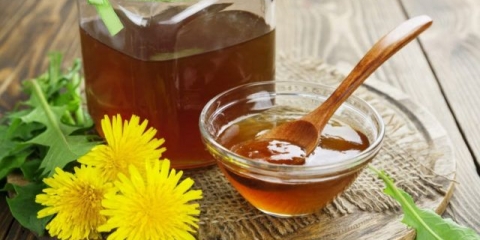 Med od 400 maslačaka: recepti sa fotografijama, koristi i štete